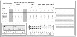 One page finance report to the CEO on an A3 (Fanfold)  page