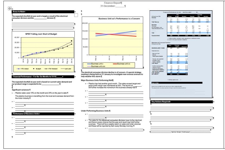 One page executive report using spark-lines and bullet graphs